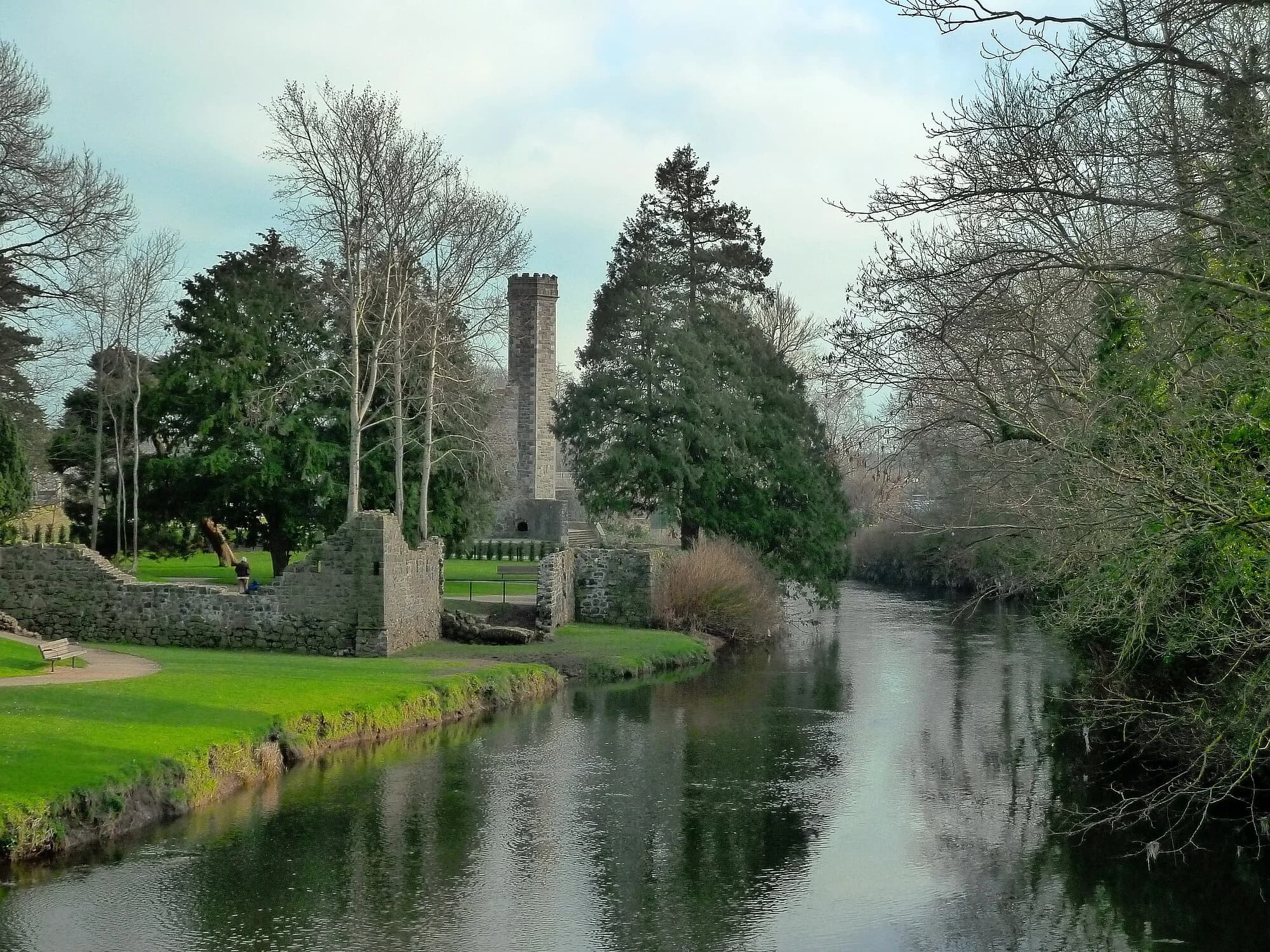 Vets in Antrim