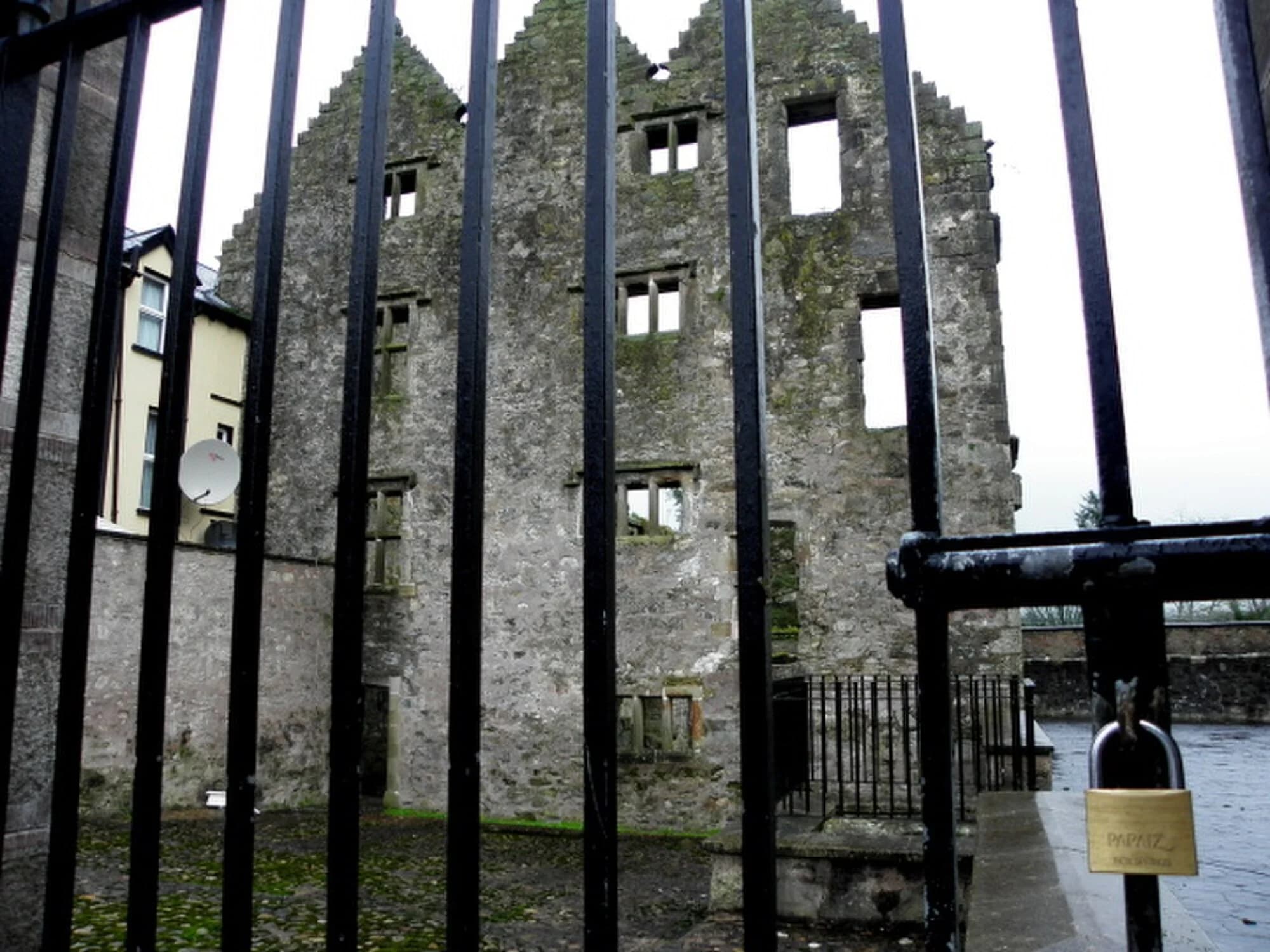 Vets in Newtownstewart